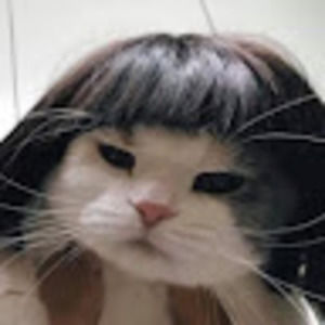 Meet your Posher, Teenage